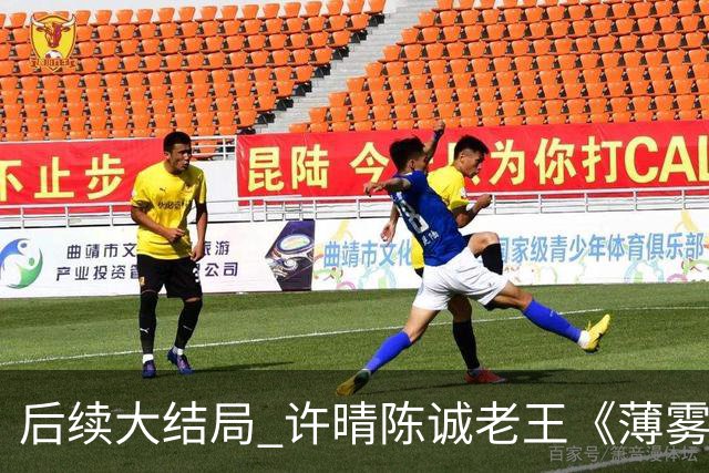 后续大结局 许晴陈诚老王《薄雾锁清秋》《四个工友》