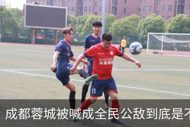 成都蓉城被喊成全民公敌到底是不是真的，看完五月申花主场那场六万多人看球就知道答案